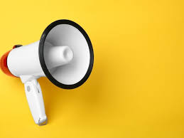 Wyniki naboru 1/2025/PSWPR/SDG